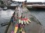 Capitanía de Puerto y Municipalidad de Castro realizan competencia de Kayak por Mes del Mar
