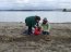 Reúnen 2,3 toneladas de basura en operativo de limpieza realizado en playas Pelluco y Pelluhin