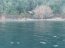 Armada De Chile realiza rescate y evacuación de cuatro personas accidentadas en vehículo que desbarrancó en sector mirador Lago Panguipulli