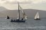Regata 
