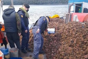 Armada incauta más de dos toneladas de erizo extraído irregularmente Armada incauta más de dos toneladas de erizo extraído irregularmente