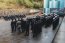 Dotaciones de Abastecimiento de la Base Naval Talcahuano conmemoraron el aniversario de la Especialidad