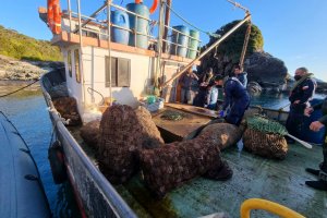 Armada y Sernapesca incautan más de siete mil kilos de recurso erizo en lanchas ilegales Armada y Sernapesca incautan más de siete mil kilos de recurso erizo en lanchas ilegales