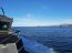 Autoridad Marítima veló por la seguridad durante la fiesta de San Pedro y San Pablo en caleta Barranco Amarillo de Punta Arenas