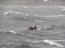 Armada apoyó evacuación médica de urgencia desde Isla Queullín