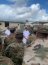 Comandante en Jefe de la Armada efectuó visitas profesionales durante su estadía en Hawaii