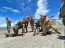 Pelotón de Infantería de Marina de la Armada de Chile participa en Rimpac 2022 en operaciones combinadas