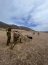 Pelotón de Infantería de Marina de la Armada de Chile participa en Rimpac 2022 en operaciones combinadas