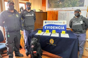 Policía Marítima de Ancud detectó maletas con sustancias ilícitas en bus interurbano
