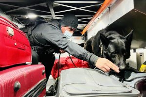 Policía Marítima de Ancud detectó más de 8 mil dosis de marihuana y cocaína en Chacao Policía Marítima de Ancud detectó más de 8 mil dosis de marihuana y cocaína en Chacao