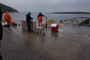 Autoridad Marítima incautó 2800 kilos de recurso almeja en Ancud