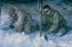 Marines de Estados Unidos entrenaron junto a Infantes de Marina del Destacamento IM N°4 “Cochrane”