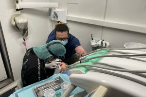 Patrullero Médico Dental “Cirujano Videla” atendió a su paciente número 3.000 de este año Patrullero Médico Dental “Cirujano Videla” atendió a su paciente número 3.000 de este año