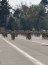 La Armada de Chile realizó una gran presentación en la Parada Militar 2022