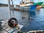 Limpieza de fondo marino reúnen 2,5 toneladas de desechos en canal Tenglo