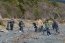 Gobernación Marítima de Puerto Williams desarrolló Jornada de Limpieza de Playas