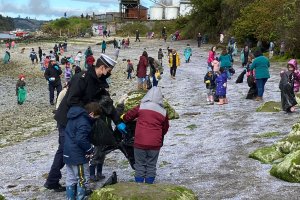 350 personas participaron del Día Internacional de Limpieza de Playas en Dalcahue 350 personas participaron del Día Internacional de Limpieza de Playas en Dalcahue
