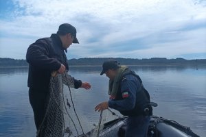 Autoridad Marítima incautó 400 metros de red de pesca en Santuario De La Naturaleza de Río Maullín