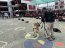 Binomio canino de la Gobernación Marítima de Valparaíso participa en actividad cívica en Colegio Aconcagua de Quilpué