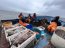  Fiscalización pesquera en canales de la región de Aysén deja como saldo 1.8 toneladas de recursos pesqueros  