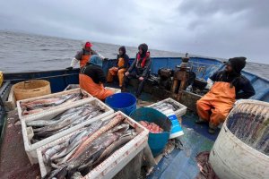 Fiscalización pesquera en canales de la región de Aysén deja como saldo 1.8 toneladas de recursos pesqueros