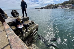 Gobernación Marítima de Valparaíso apoya tercer período de examinaciones de Buzo Mariscador Básico Gobernación Marítima de Valparaíso apoya tercer período de examinaciones de Buzo Mariscador Básico