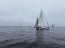 Con gran convocatoria realizan Regata “Copa Arrobantes 2022”