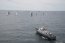 Con una alta participación finaliza la 47ª Regata Off Valparaíso 2022