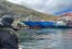 Armada de Chile desplegó operativo ante barcaza varada en Canal Magdalena