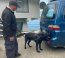 Autoridad Marítima incautó 486 kilos de recurso biológico “loco” en control vehicular