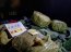  Policía Marítima decomisó más de 39 kilos de marihuana en el borde costero cercano al control aduanero 'El Loa' en Iquique  