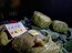 Policía Marítima decomisó más de 39 kilos de marihuana en el borde costero cercano al control aduanero 'El Loa' en Iquique
