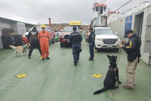 Autoridad Marítima de Punta Arenas y Carabineros de Chile realizaron fiscalización conjunta en Río Verde