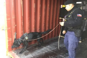 Capitanía de Puerto de Punta Arenas controlo proceso de desconsolidado de carga peligrosa junto a binomio canino