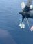 Armada continúa monitoreando a pesqueros extranjeros que se desplazan hacia el Atlántico