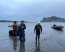 Armada y bomberos de Hualpén rescataron a can desde roqueríos de la desembocadura del río Bío Bío