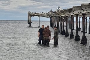 Armada y Carabineros rescatan a persona de las aguas del Estrecho de Magallanes 