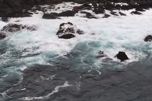 Armada rescató desde roqueríos a dos personas en sector de Caleta Cóndor