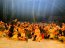 Grupo de Teatro de la Armada presentó obra “Los Cuentos de Pedro Urdemales” en Olmué