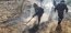 Fuerzas Armadas y de Orden en la región del Bio Bío continúan combatiendo los incendios forestales