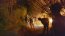 Fuerzas Armadas y de Orden en la región del Bio Bío continúan combatiendo los incendios forestales