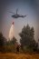 Fuerzas Armadas y de Orden en la región del Bio Bío continúan combatiendo los incendios forestales
