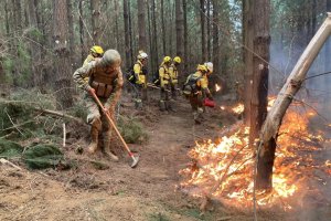 Fuerzas Armadas y de Orden en la región del Bio Bío continúan combatiendo los incendios forestales