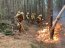 Fuerzas Armadas y de Orden en la región del Bio Bío continúan combatiendo los incendios forestales