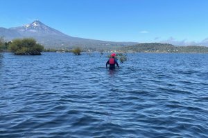 Armada de Chile informa de hallazgo de persona desaparecida en lago Villarrica
