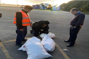 Autoridad Marítima de Calbuco detecta transporte ilegal de 300 kilos de recurso loco Autoridad Marítima de Calbuco detecta transporte ilegal de 300 kilos de recurso loco