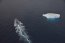 OPV 83 “Marinero Fuentealba” finaliza tareas de señalización marítima en Territorio Chileno Antártico