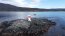 LSG “Hallef” efectúa mantenimiento a la señalización marítima en Canal Beagle
