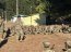 Comandante General del Cuerpo de Infantería Marina visitó a los reclutas IM en la Escuela de Grumetes