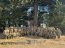 Comandante General del Cuerpo de Infantería Marina visitó a los reclutas IM en la Escuela de Grumetes